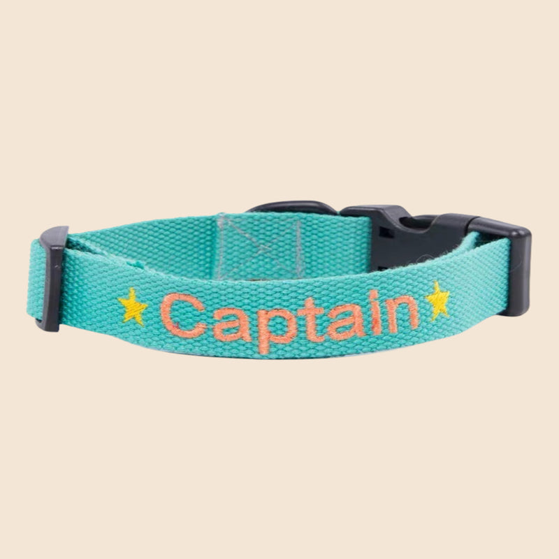 Collar personalizado para perros